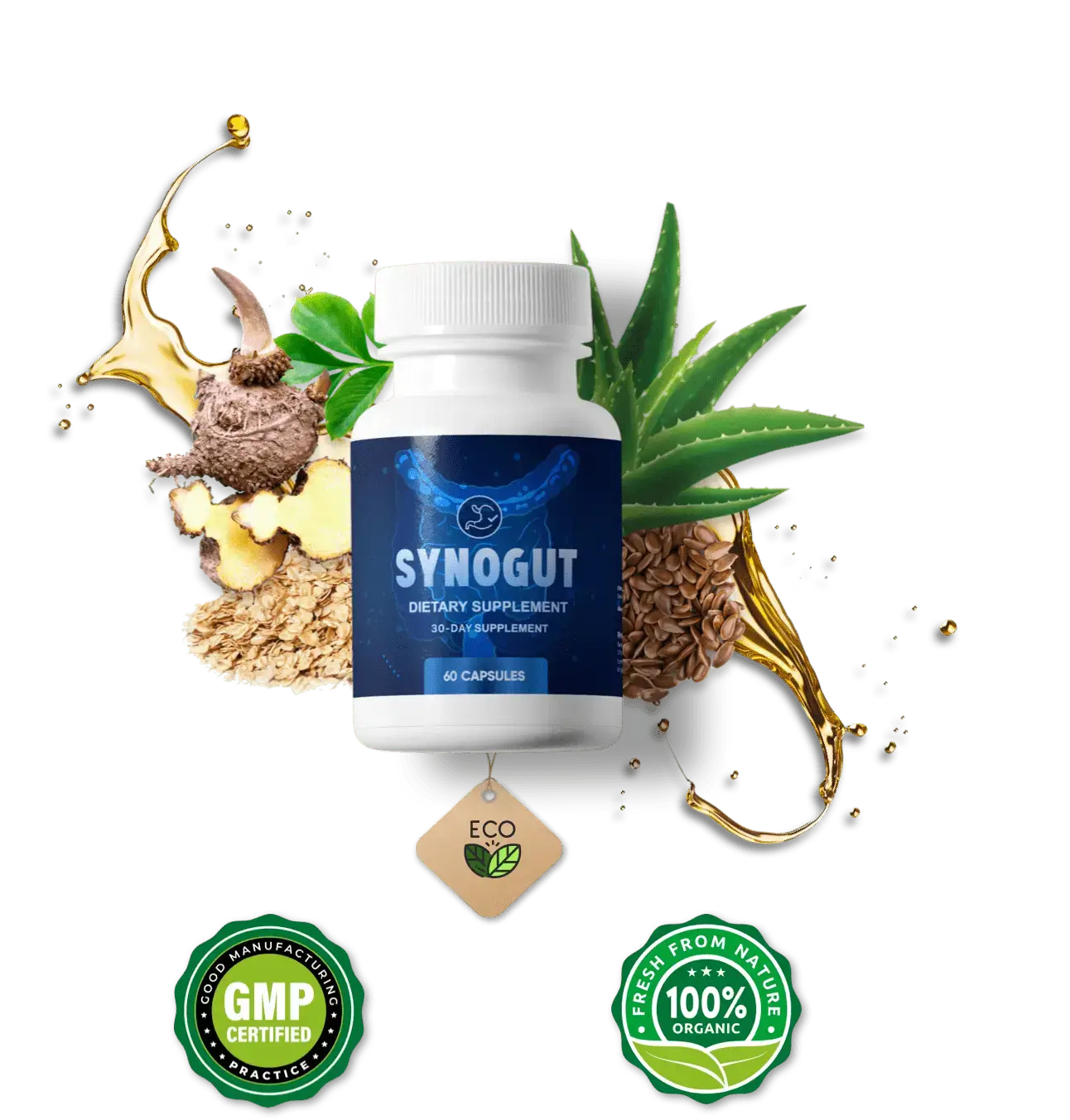 synogut where to buy